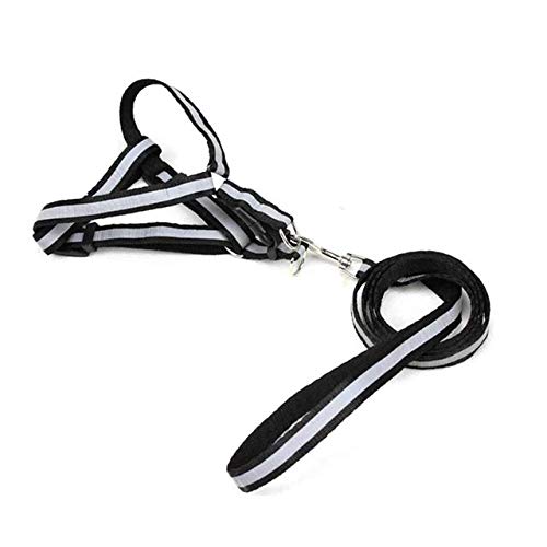 Petlicious & More Nylon Reflective Dog Harness Leash Lead Set for Small Medium Dogs Puppy (Black) (B0855MRXBM) Amazon Price History, Amazon Price Tracker