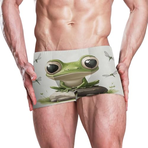 Cute Frog Green Mens Swim Trunk Swimwear Bathing Suit Swim Brief Square Leg Board Short S S04065432