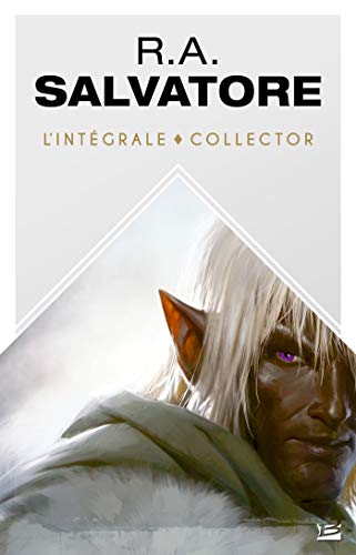 R A Salvatore L Integrale Les Integrales Bragelonne Ebook Salvatore R A Amazon Fr