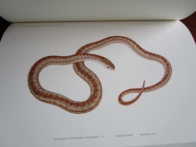 日本蛇類図譜　牧茂市郎　限定500部 Amazon.co.jp: 限定500部牧茂市郎:日本蛇類図譜 全3巻 復刻版昭和53