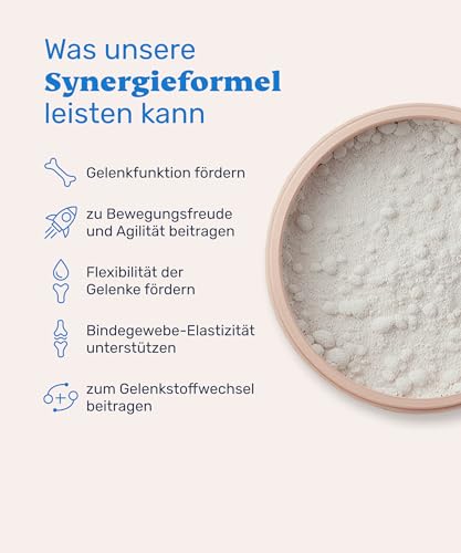 mammaly Kollagen & Hyaluron-Säure Pulver für Hunde - 75g Pulver für Deinen Hund
