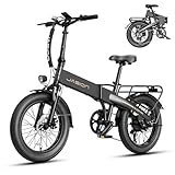 Jasion EBS 20' Foldable Electric Bike Fat Tire for Adults, 1000W Peak, 48V Removable...