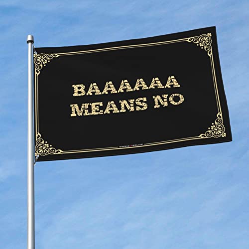Petits drapeaux Baaaaaa : la solution pour décorer une grande façade vide