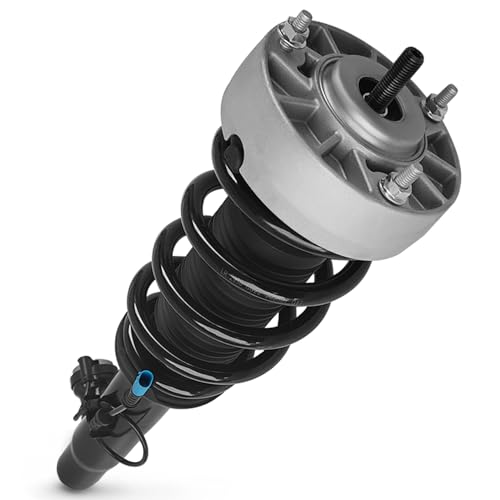 ZYFONLIX Front Right Shock Strut Assembly Compatible with 2014-2019 BMW X5 X6 X5M X6M F15 F16 F85 Shock Absorber OEM Replace 37106875084 37116863174 31317850212 31317856490