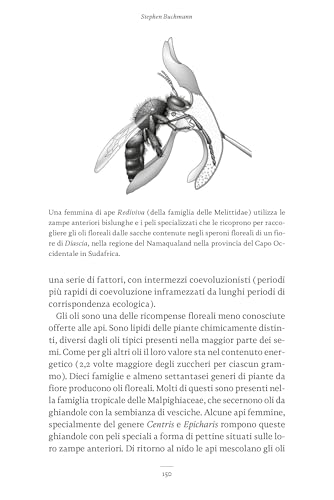 La Personalità Dell'ape. Pensieri, Ricordi, Emozioni - 8