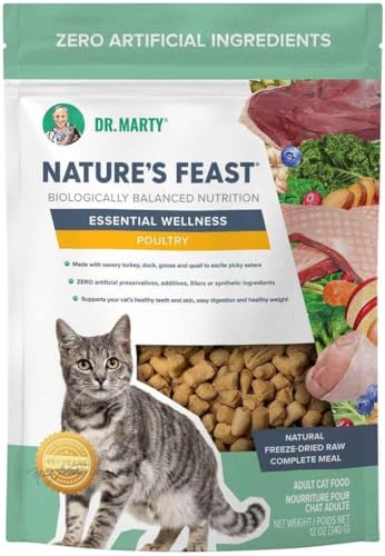 Dr. Marty Nature's Feast Essential Wellness Poultry Dry Cat Food, 12 oz
