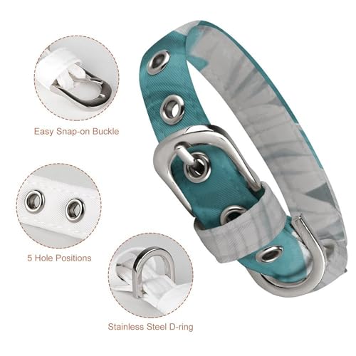 Collier réglable pour chien et chat : ajustement parfait taille petite