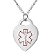 Sabrina Silver Stainless Steel Diabetic Type 2 Medical Alert ID Tag Necklace Heart Shape 7/8 Wide, 24 inch Long