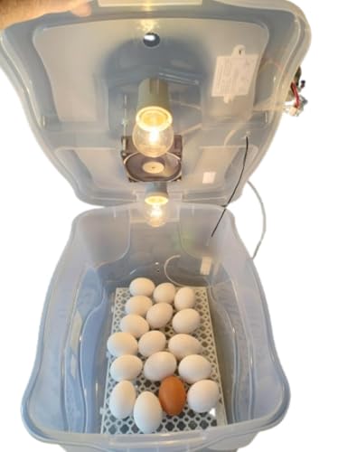 Chocadeira Com Controle De Temperatura Automático Capacidade 30 Ovos De Galinha Ou 90 De Codorna