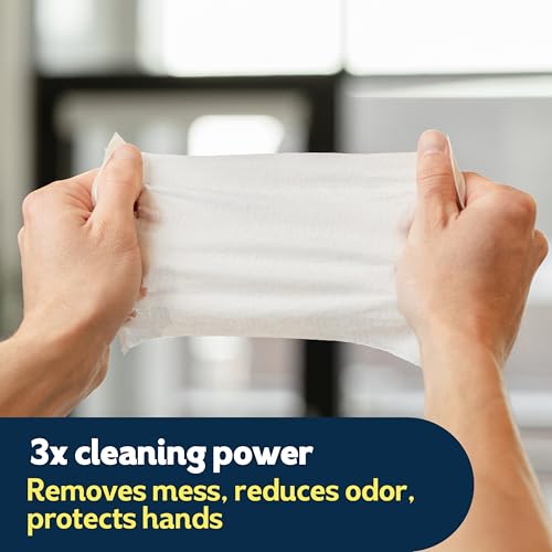 Image of Cottonelle Summer Fresh Scented Flushable Wipes, 2 Flip-Top Packs, 42 Wet Wipes per Pack