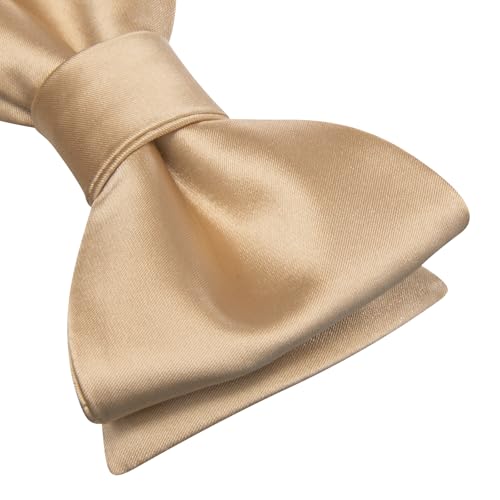 Image of Dubulle Self Tie Bow Ties and Lapel Pin for Men Paisley Solid Mens Bowtie and Handkerchief Cufflinks Set Wedding