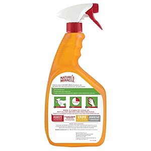 Naturesmiracledogoxysetinstaindestoyer  Urban Country Home Decor Natures miracle dog oxy set in stain destoyer  urban country home decor