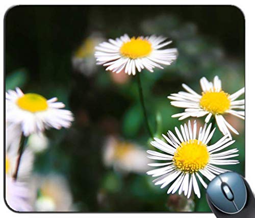 Preisvergleich Produktbild Gänseblümchen 11995 Gaming Mouse Pad Mousepad Mat