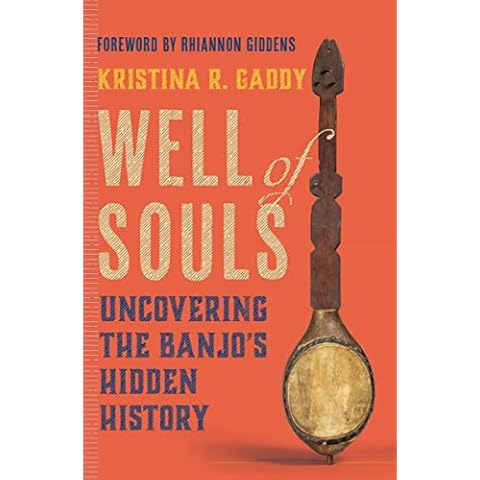 Well of Souls: Uncovering the Banjo's Hidden History Cover