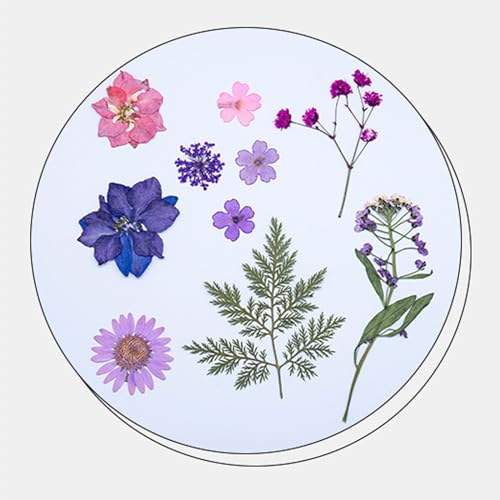 35 piezas flores secas prensadas naturales para manualidades miniatura 3
