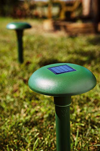 Verdemax 4508 Repellente Per Talpe E Roditori - 3