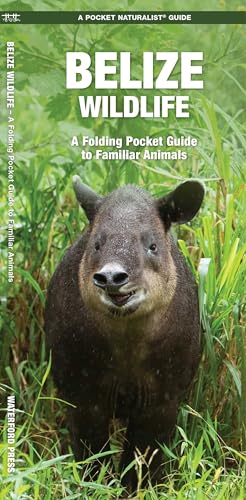 Belize Wildlife: A Folding Pocket Guide to Familiar Animals (Nature Observation International)