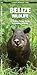 Belize Wildlife: An Introduction to Familiar Species (A Pocket Naturalist Guide)