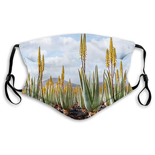 Mouth Cover for Women,Face Mask Reusable Washable Cloth for Men Photo from Aloe Vera Plantation Medicinal Leaves Remedy Fuer