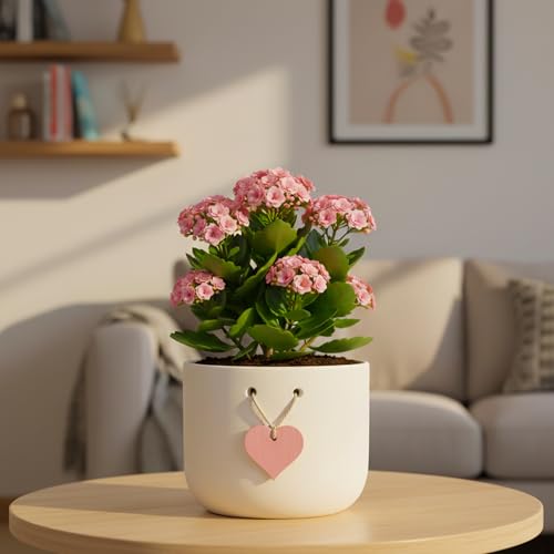 Image of Urban Plant Cherish Terracotta Pot with Heart Tag | 4.7 Inch Matte Finish Planter with Drainage Hole | Decorative Indoor Tabletop Flower Pot for Gifting & Home Decor