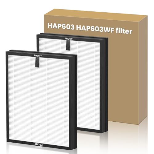 Image of 2 PACK HAP603 Replacement Filter for ECOSELF HAP603 HAP603WF Air Purifier