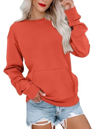 Image of Ovanviso Womens Long Sleeve Sweatshirt Casual Crewneck Cute Pullover Tops Lightweight Sweatshirt with Pocket