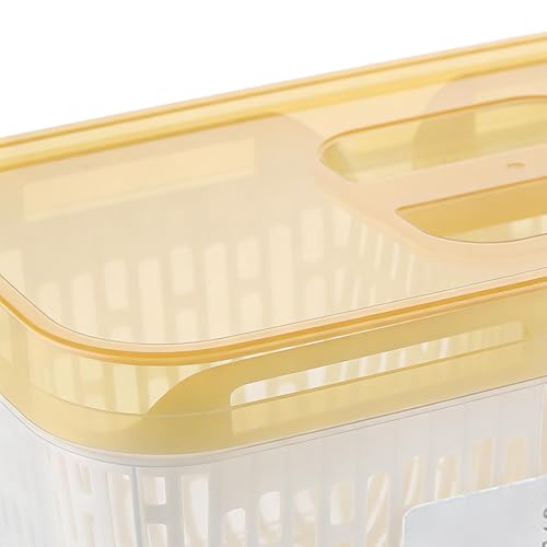 Boîtes de conservation pour fruits au réfrigérateur à double couche - 8