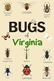 Bug Of Virginia: Identification Log Book for Insect Enthusiasts, Bug Journal to Observe and Record Bug & Insect Collecting Information, Bug Lovers (Gifts for Kids And Adults Entomologists)