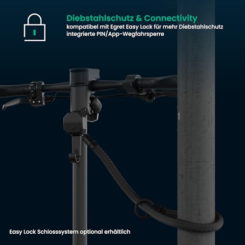 Egret X Serie - Elektroscooter, E-Scooter mit Straßenzulassung, Elektroroller Erwachsene, Eroller 20 kmh (X core +)