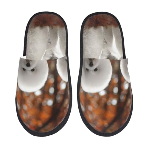 [ZOOKISS] rVEt[[  Xbp  Y  fB[X ~ 킢 qp 􂦂 gC p E Xbpjp LN^[ ObY lC Aj v[g L