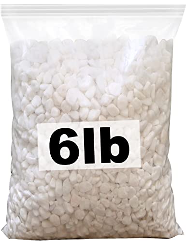 Image of Bonsai White Rocks 6lbs Cactus and Succulent DIY Gravel Small Decorative Polished Little Pebbles Indoor Houseplants Pot Mini Stones Vase Fillers for Terrariums, Fairy Garden, Top Dressing, Crafts