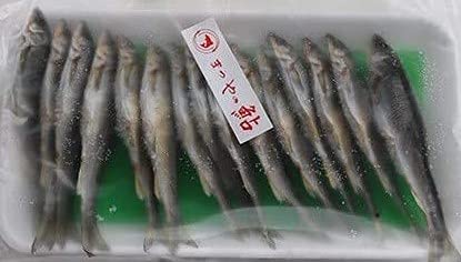 国産 ( 琵琶湖・岐阜県産 ) 子持ち 鮎 の 丸干し 15尾(尾8.5〜9.5cm)×20P 業務用 冷凍 鮎