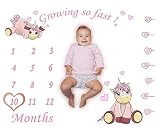 Unicorn Nursery Baby Shower Gifts Baby Blanket That’s a Baby Milestone Blanket - Nursery Unicorn
