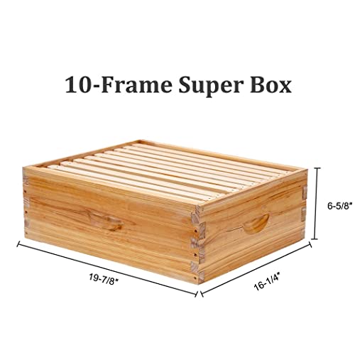 Beecastle 10-Frames Complete Beehive Kit thumb #4