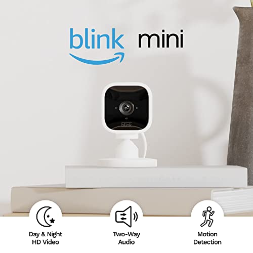 Blink Mini main view