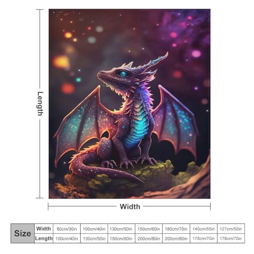 Couverture polaire dragon lit double jeté de canapé chaud lavable - 6