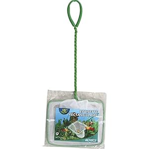 Zolux – Retino a Maglia fine per Acquario, 15 cm, Colore: Bianco