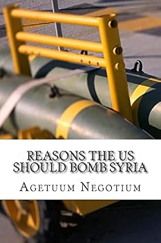 Paperback Reasons The US Should Bomb Syria Book