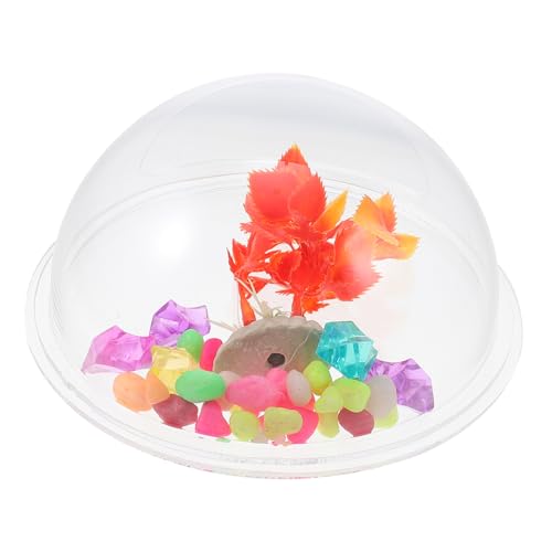 HANABASS Wall Hanging Fish Bowl Acrylic Vase Transparent Wall Mounted Aquarium Plant Pot Creative Home Decor Chic Fish Tank with Easy Random Color