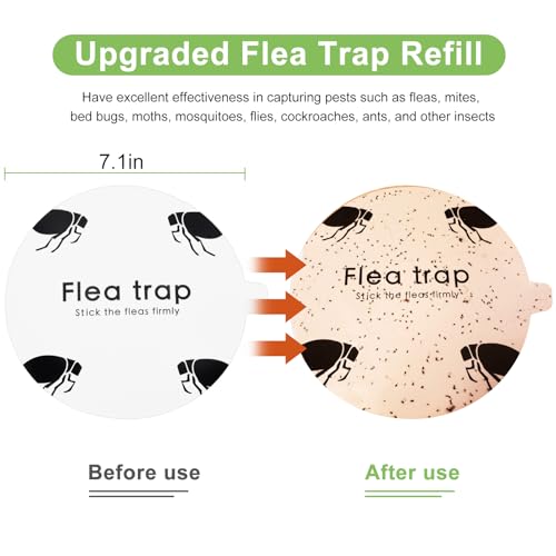 Kilsaco Flea Trap For Inside Your Home 2 Packs thumb #3