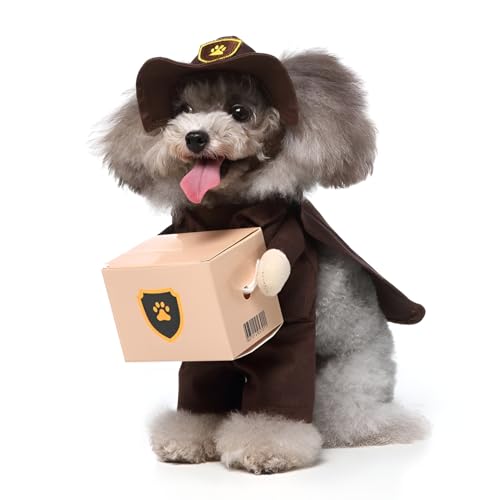 [Luvian]y ~pzp_fUC ybg`[ hf ߑ p/Up S5TCY ppW} jpߑ nybgEFA