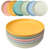 HQCM 6 Stück Wiederverwendbar Plastikteller, 23cm Groß Campingteller Unzerbrechlich Picknick Geschirr Plate Set, Mehrweg Mikrowelle Spülmaschinenfest Tief Bunte Grillteller für Outdoor Home