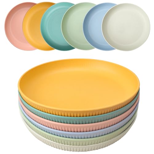 HQCM 6 Stück Wiederverwendbar Plastikteller, 23cm Groß Campingteller...