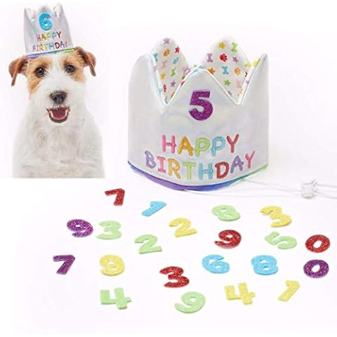 Pet London Happy Birthday Reversible Crown Hat for Dogs & Cats-Add Any Age-Glitter Numbers (20pcs) Reusable - Celebrate Pets Birthday - embroidered with HAPPY BIRTHDAY (Small) Cover