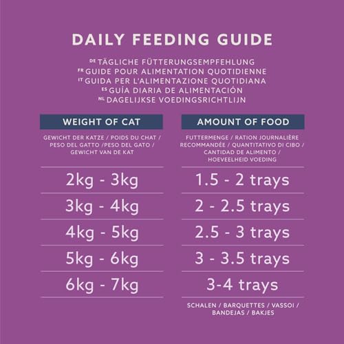 by Amazon Katzenfutter, nass, Pastete mit Wild, 100 g, 16 Stück