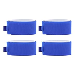 スキー板　スノボのキャリア　黒/青 スキーキャリアを調整する: Blue Style LEGACY & Bike