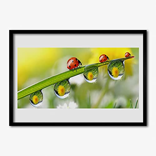 Affiche encadrée nature 70x50 cm Tulup pour créer une ambiance zen dans votre salon ou cuisine