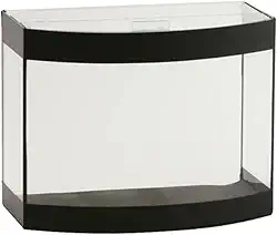Aquário Curvo Aquaterrário Faixa Preta - 5 L