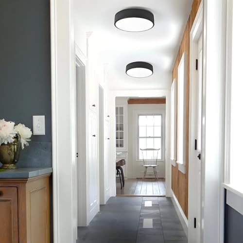 Image of 2-Light Modern Black Flush Mount Ceiling Light 11.8 Inch