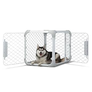 DIGGS Evolv Dog Crate - Slim, Durable Dog Kennel with Removable Ceiling Panel and Modular Design - Safe, Stylish, and Convenient (Ash, Medium) DIGGS Evolv Dog Crate Slim Durable Dog Kennel with Removable Ceiling Panel and Modular Design Safe Stylish and Convenient Ash Medium